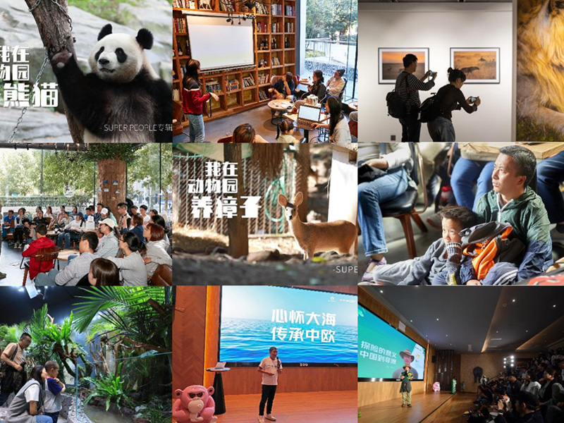 ZOO GROUP品牌形象