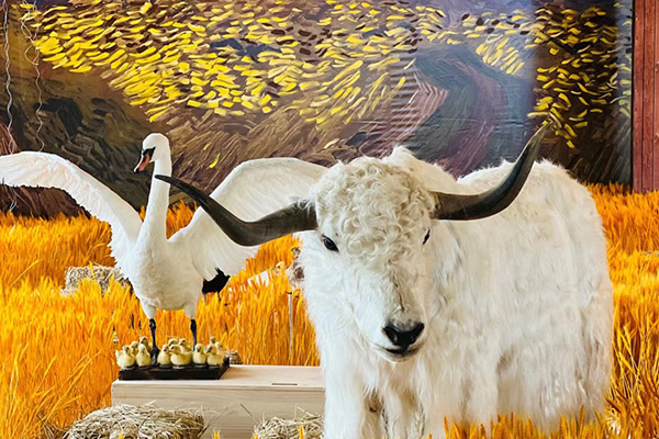 ZOO GARDEN动物园农场