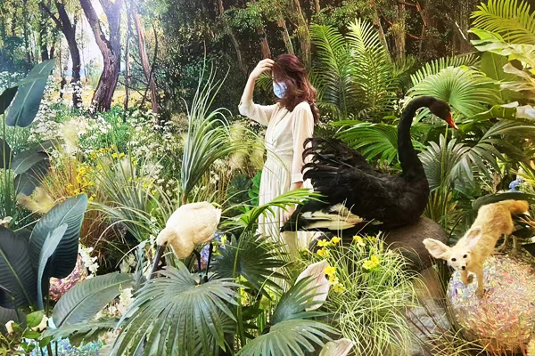 ZOO MUSEUM