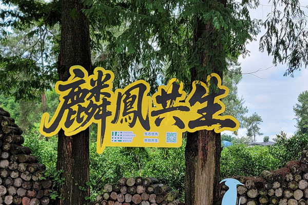 文旅