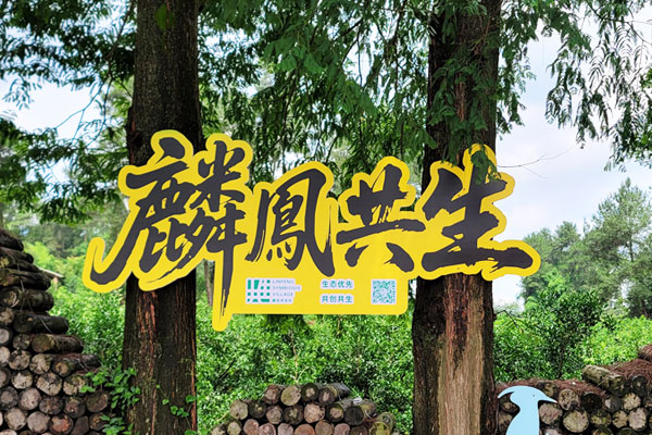 ZOO COFFEE品牌形象